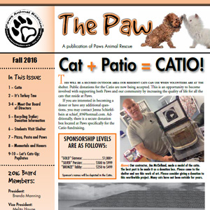 The Paw Fall 2016