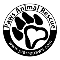 PAWS Logo