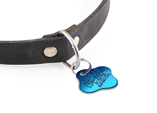 Pet Tag and Vaccine Price 500 Paws Animal Rescue Pierre SD